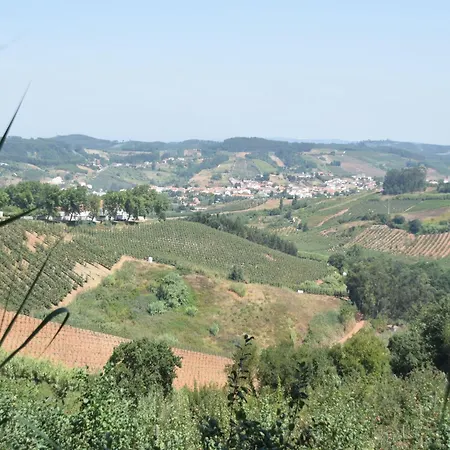 Villa In Obidos With Pool And Vineyards, Cleaning Included Willa Carreiros