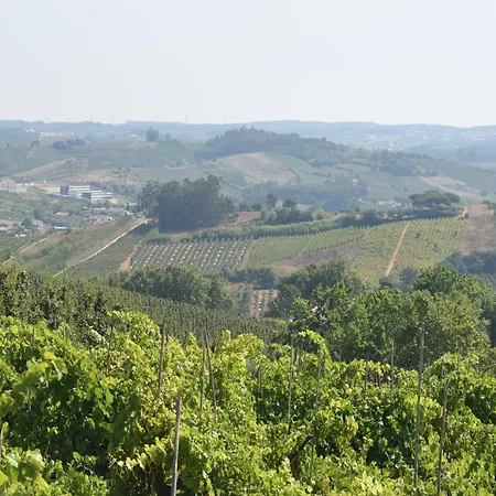 Villa In Obidos With Pool And Vineyards, Cleaning Included Willa Carreiros