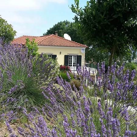 Willa Villa In Obidos With Pool And Vineyards, Cleaning Included Carreiros